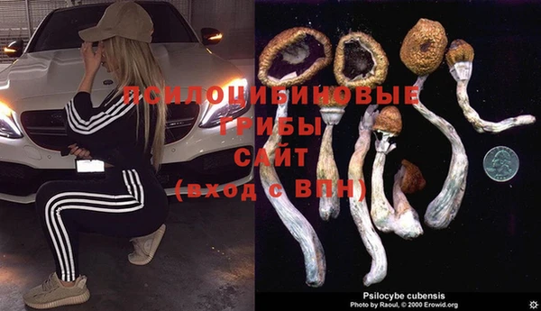 кристаллы Алзамай