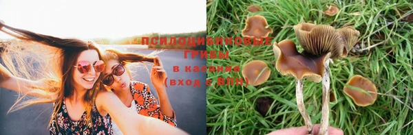 кристаллы Алзамай