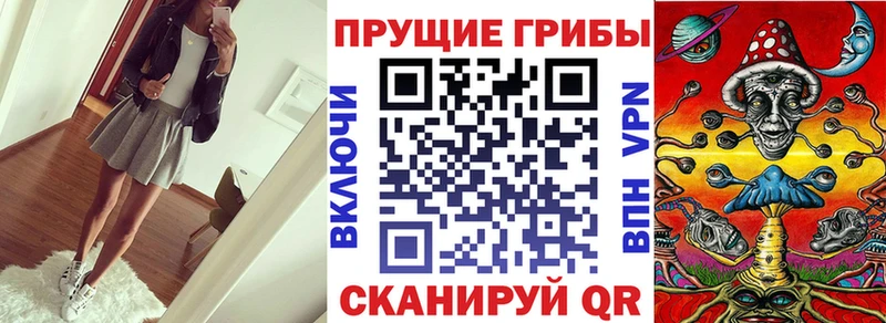 shop клад  Кемерово  Галлюциногенные грибы прущие грибы 